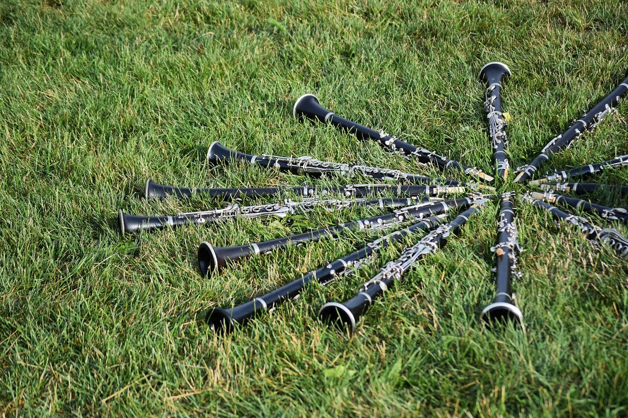 Clarinets arranged in a circle on a lawn Clarinets arranged in a circle on a lawn