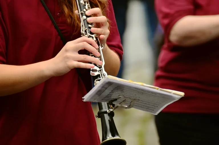 The Art of the Clarinetist: Techniques and Tips