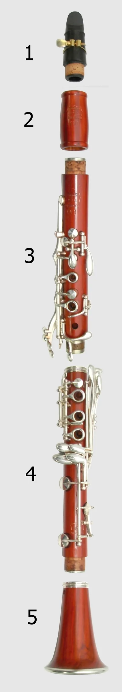 Clarinetist and uniformed musicians outdoors Clarinetist and uniformed musicians outdoors