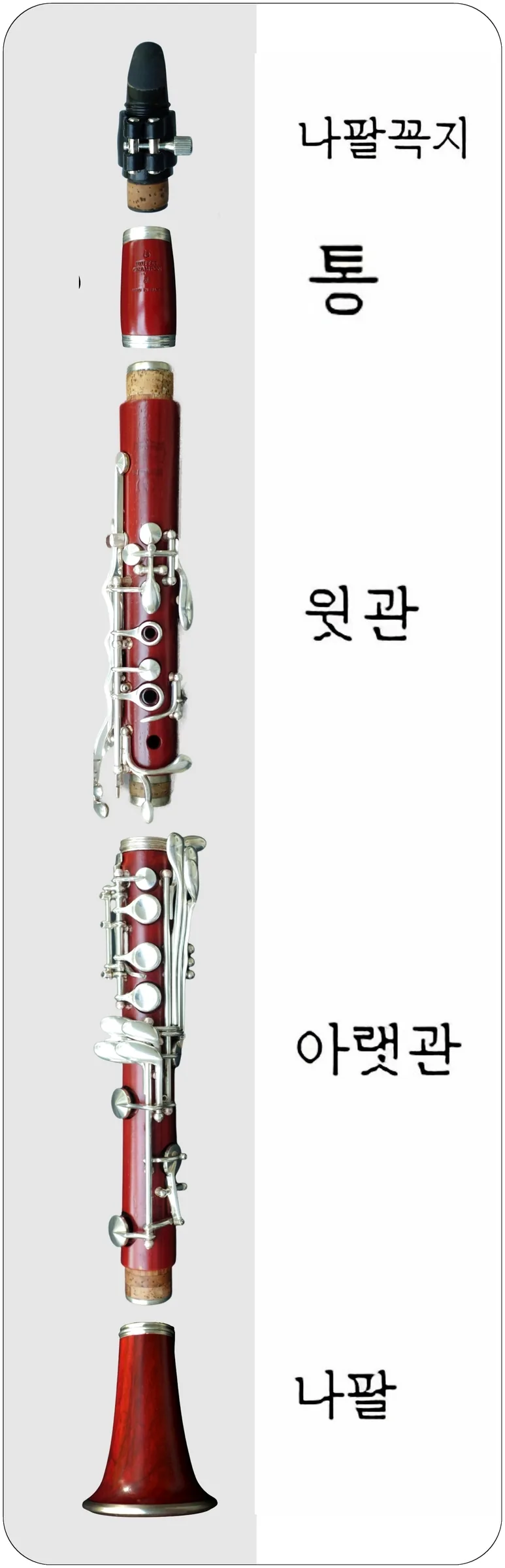 Disassembled clarinet showing its different parts Disassembled clarinet showing its different parts