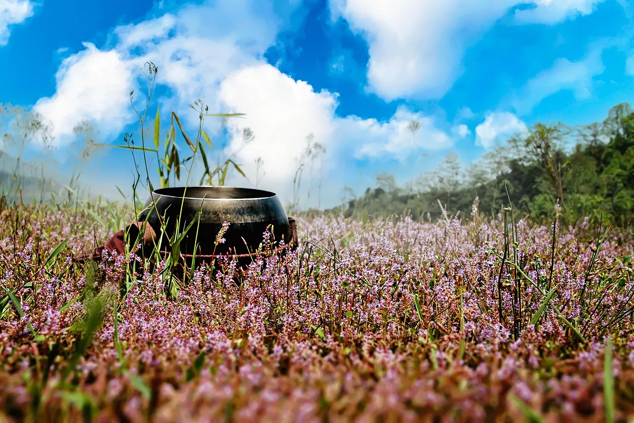 Tibetan singing bowl in a flower-filled meadow Tibetan singing bowl in a flower-filled meadow