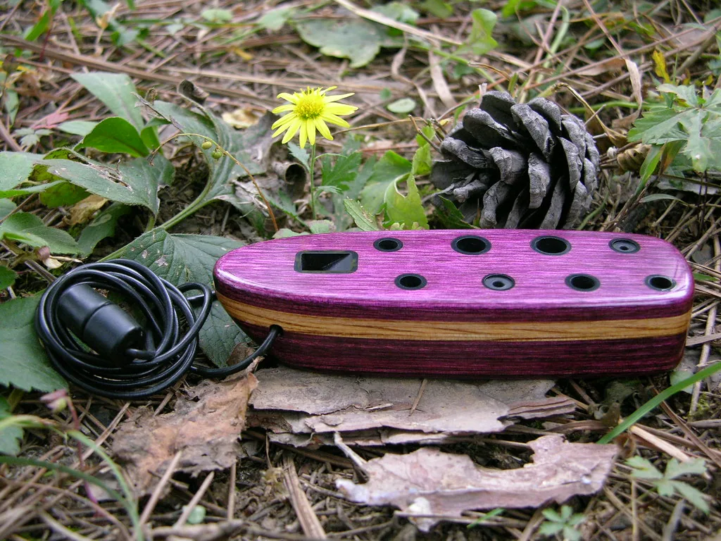 Purple wooden ocarina on a forest floor Purple wooden ocarina on a forest floor