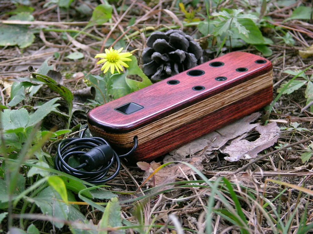 Red wooden ocarina resting among leaves