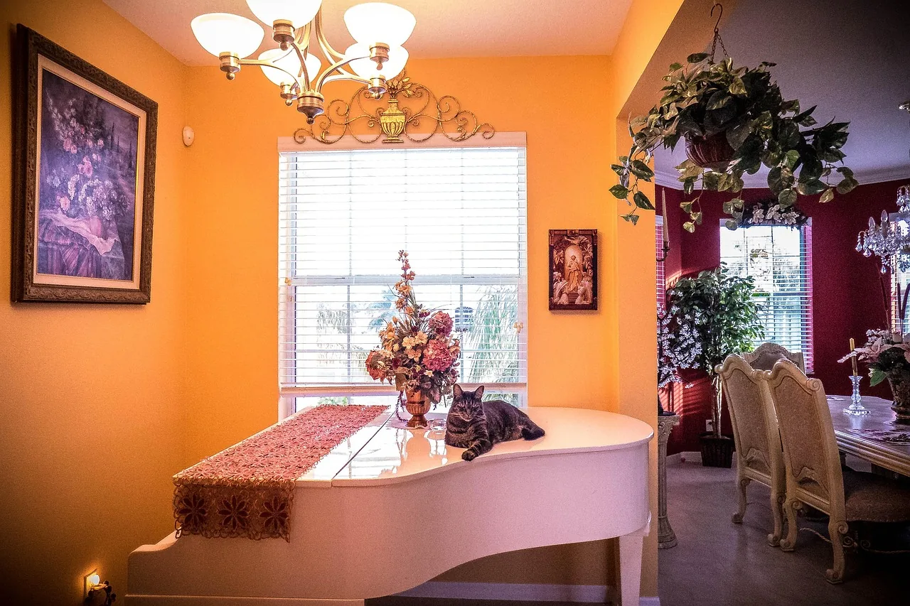White grand piano in an interior White grand piano in an interior