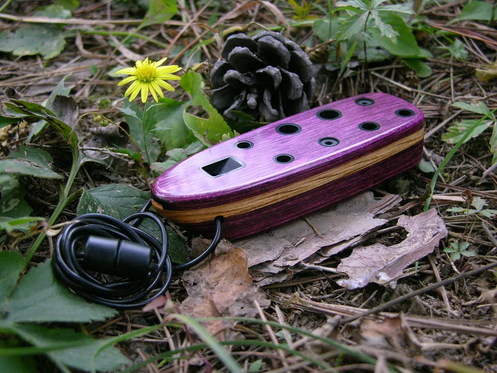 Purple wooden ocarina resting among leaves Purple wooden ocarina resting among leaves