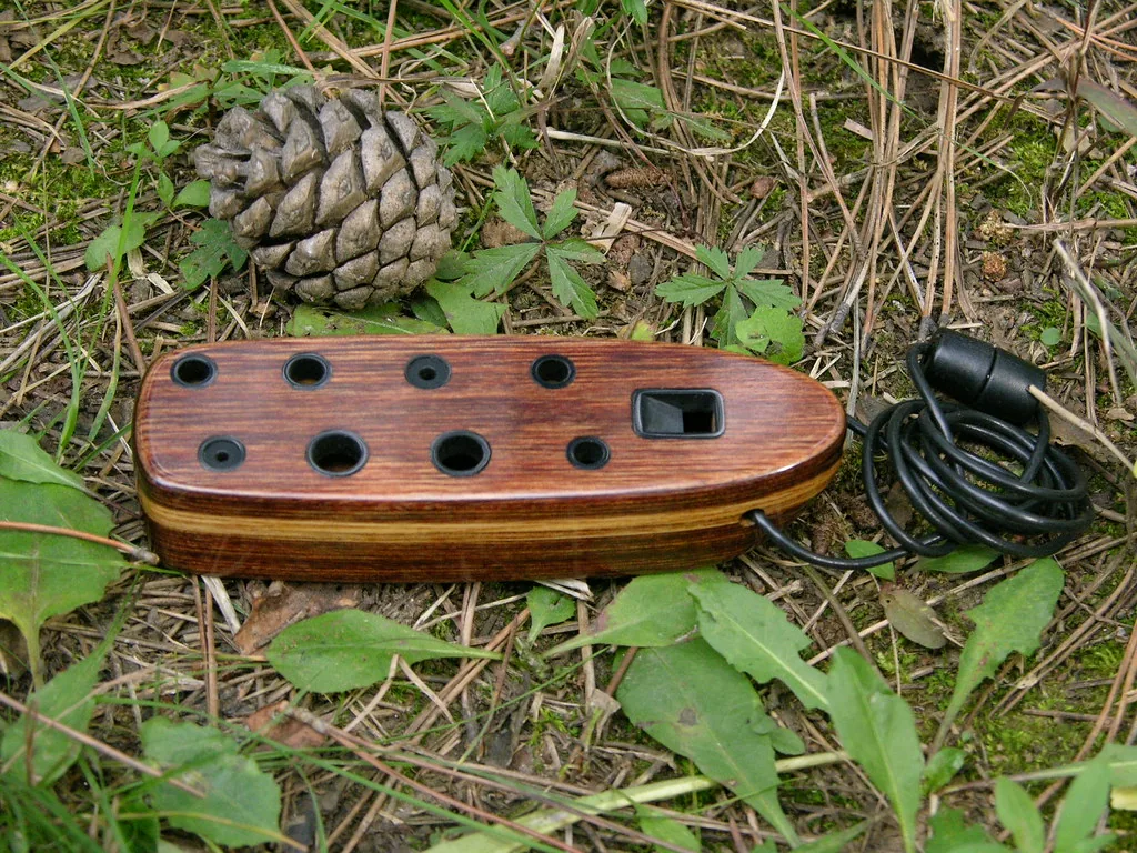 Wooden ocarina beside a pine cone Wooden ocarina beside a pine cone