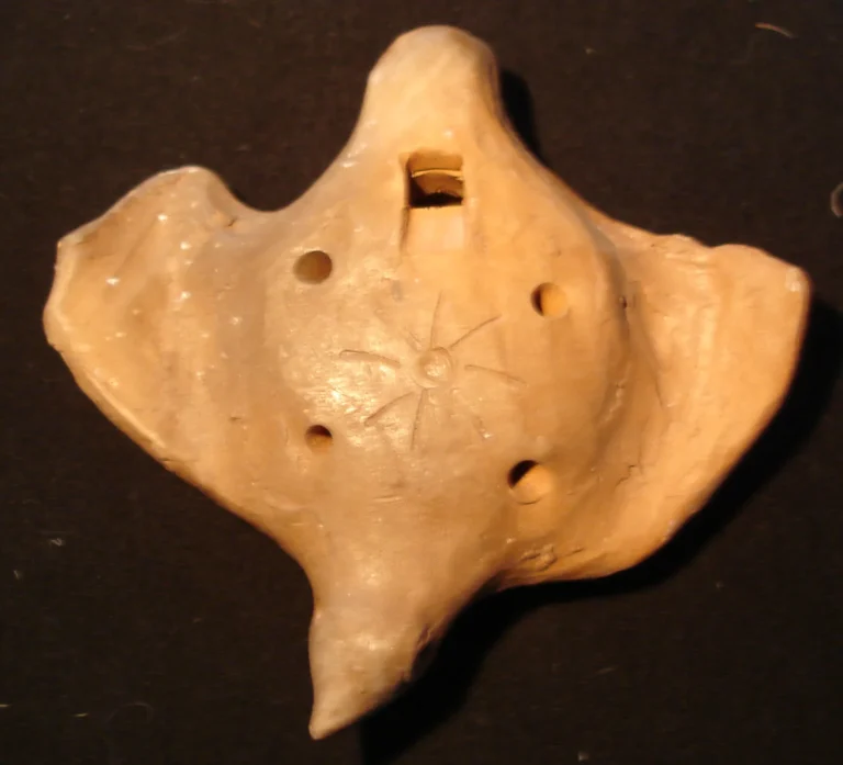 Double Ocarina: Who Is It For and What Skill Level?
